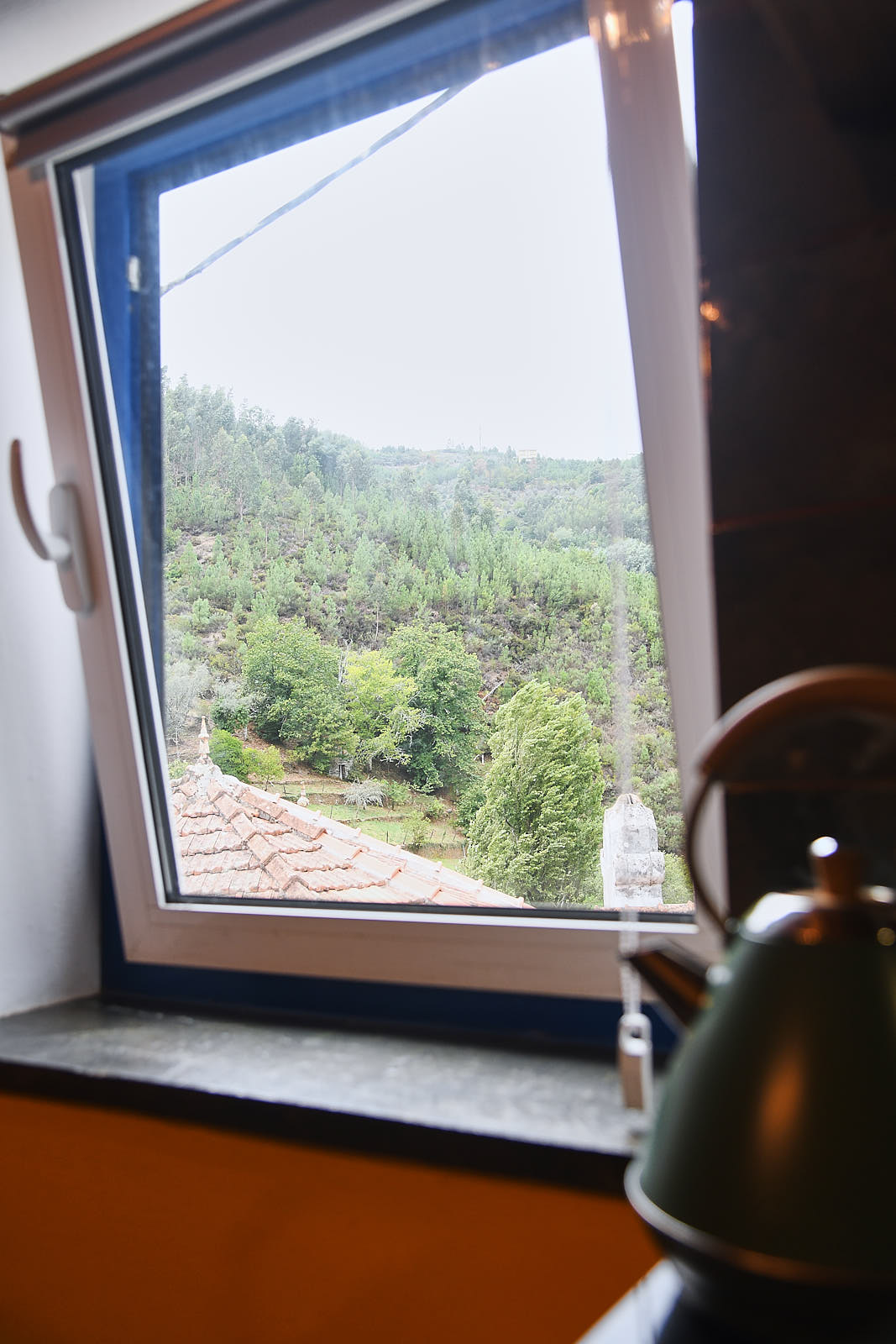 Mountain and garden view from the open kitchen window